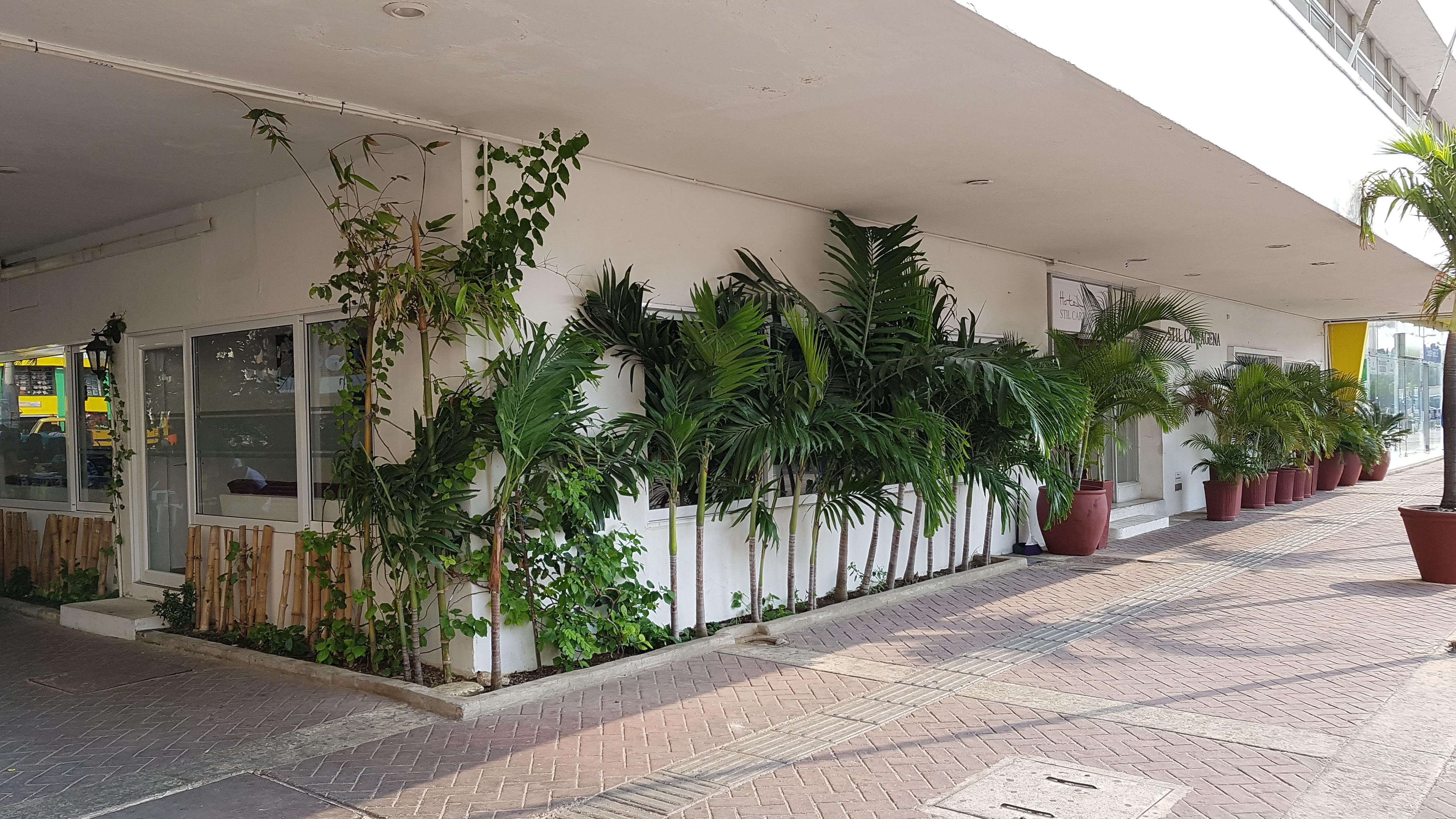 史迪威卡塔赫纳酒店 Cartagena 外观 照片